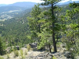 Looking south from the peak, Pincushion Mtn 2011-08.
